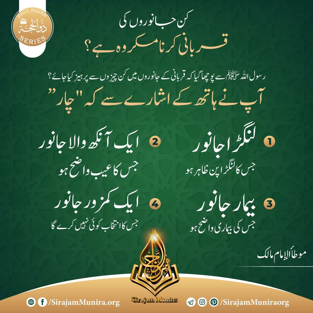 كن جانوروں کی قربانی کرنا مکروہ ہے؟