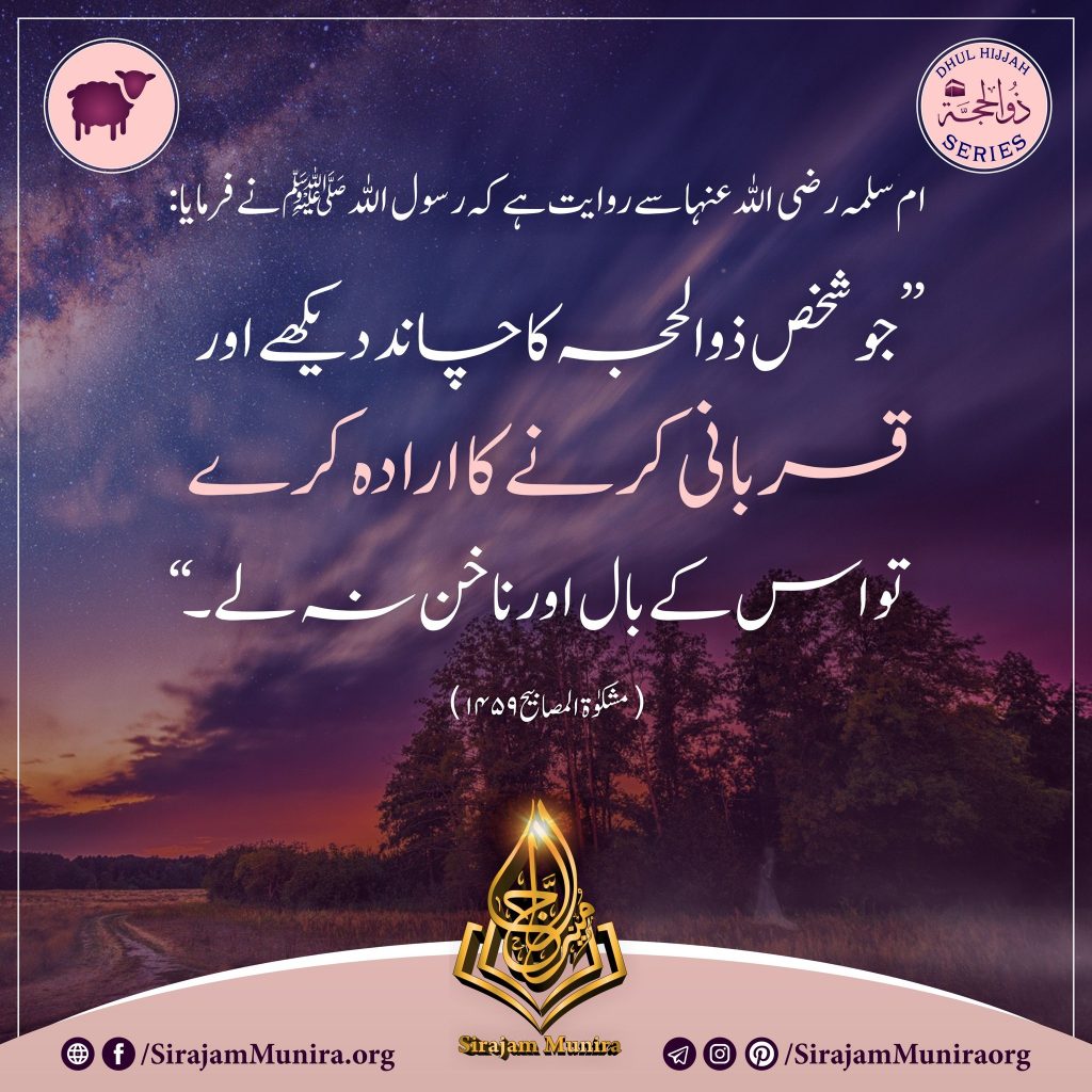 جب ذوالحجہ کے پہلے 10 دن