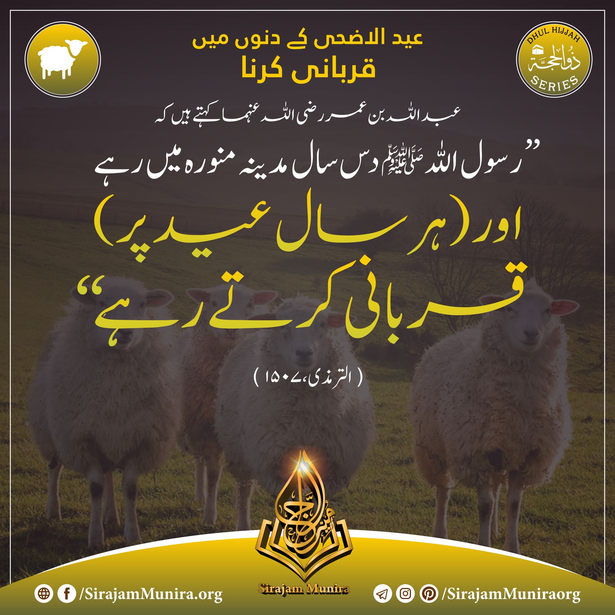 عید الاضحی کے دنوں میں قربانی کرنا