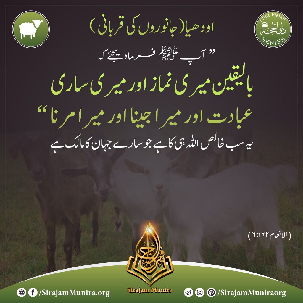 اودھیا (جانوروں کی قربانی)