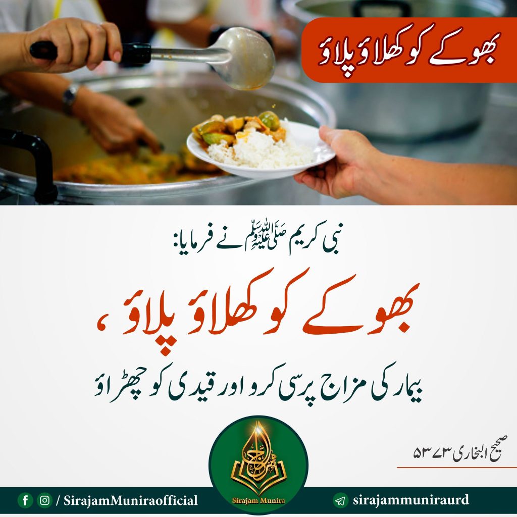 بھوکے کو کھلاؤ پلاؤ
