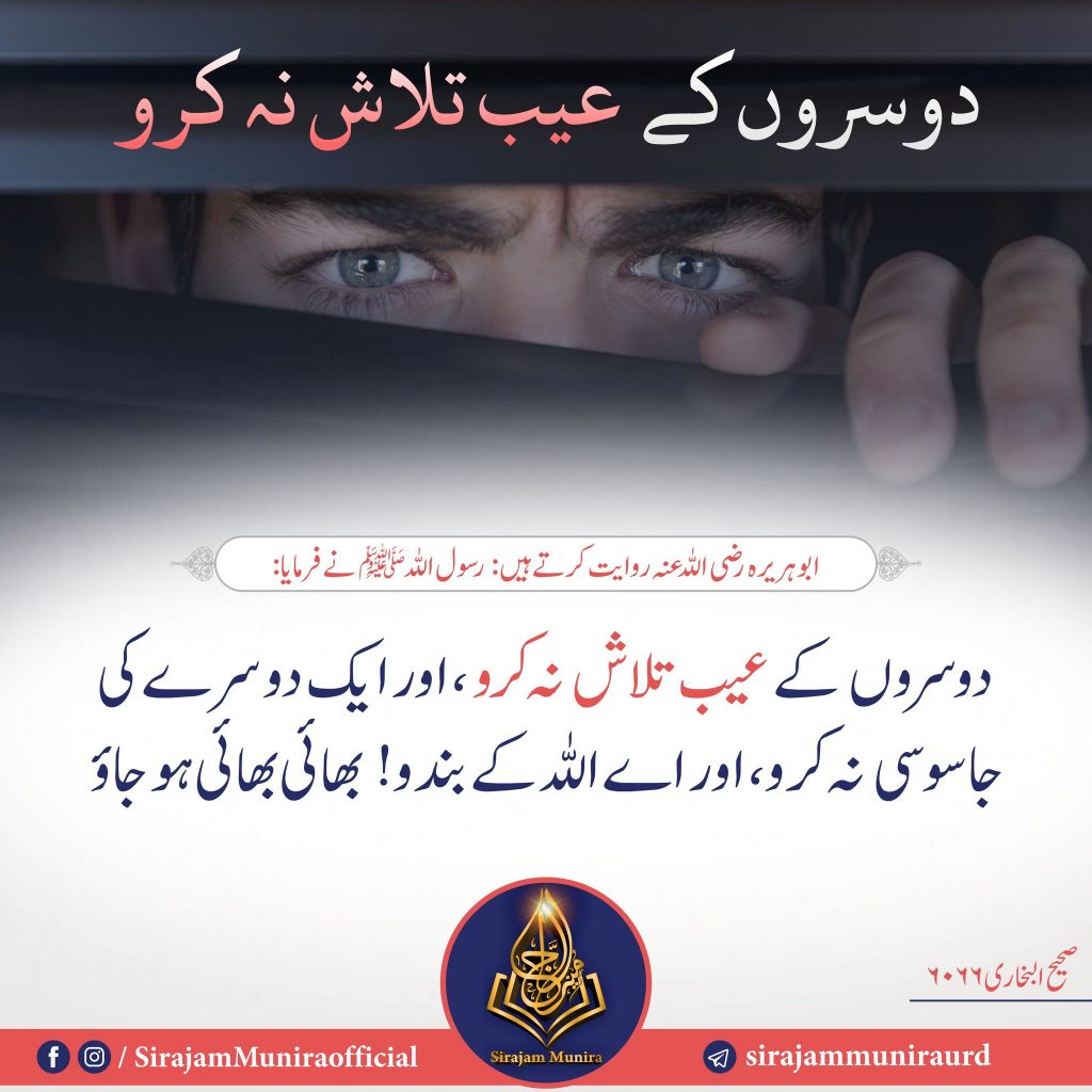 دوسروں کے عیب تلاش نہ کرو