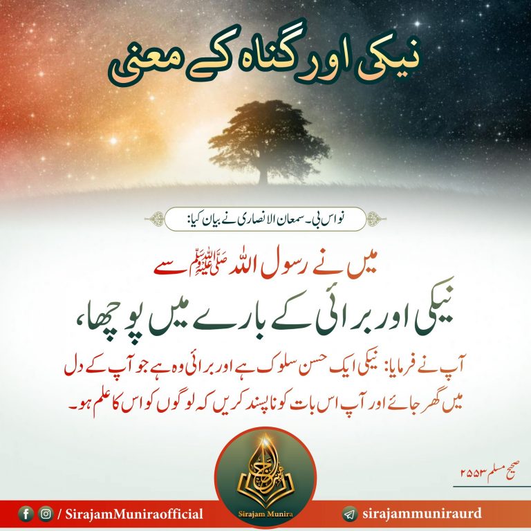 نیکی اور گناہ کے معنی